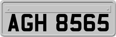 AGH8565