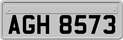 AGH8573