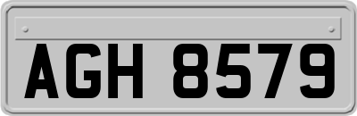 AGH8579
