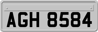 AGH8584