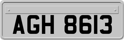 AGH8613