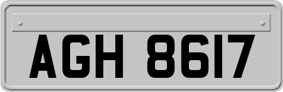AGH8617