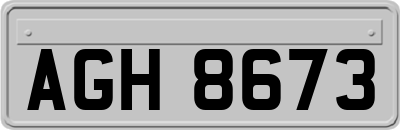 AGH8673