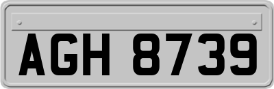 AGH8739