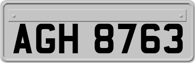 AGH8763