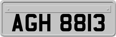 AGH8813