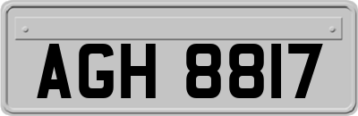 AGH8817