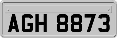 AGH8873