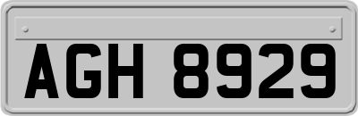 AGH8929