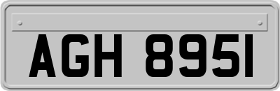 AGH8951