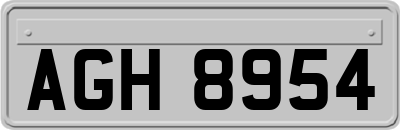 AGH8954