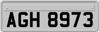 AGH8973