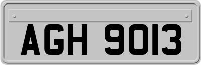 AGH9013