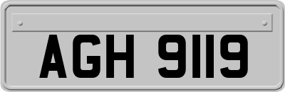AGH9119