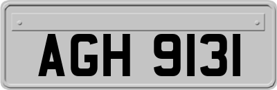 AGH9131