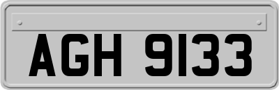 AGH9133