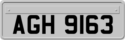 AGH9163