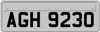 AGH9230