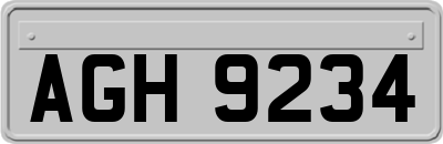 AGH9234