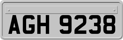 AGH9238