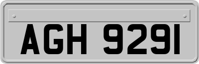 AGH9291