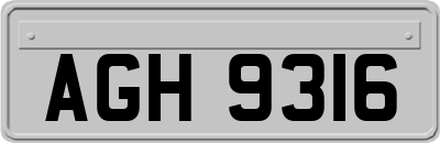 AGH9316