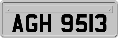 AGH9513