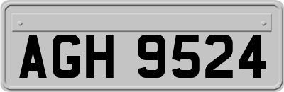 AGH9524