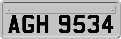 AGH9534