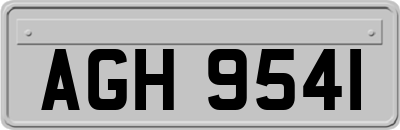 AGH9541