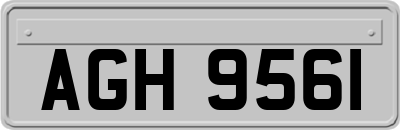 AGH9561