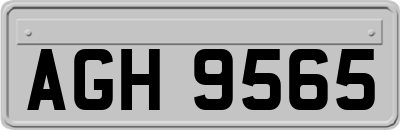 AGH9565