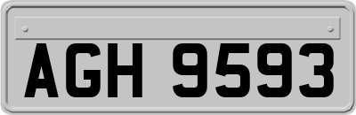 AGH9593