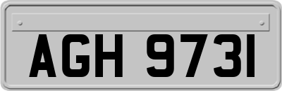 AGH9731