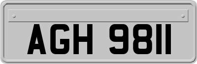 AGH9811
