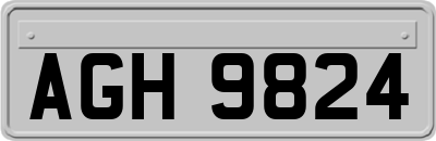AGH9824