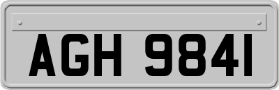AGH9841