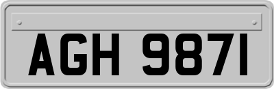 AGH9871