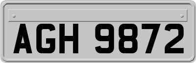 AGH9872