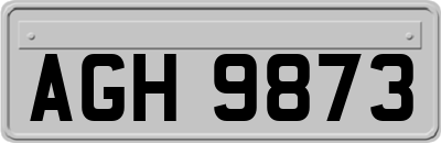 AGH9873