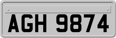 AGH9874