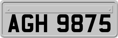 AGH9875