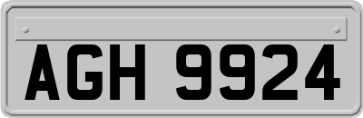 AGH9924