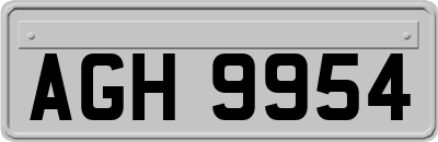 AGH9954