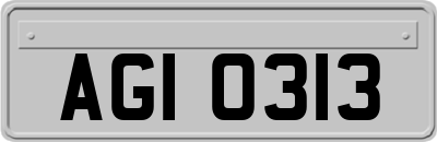 AGI0313