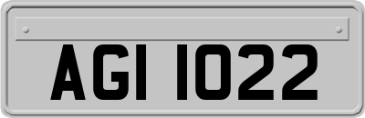 AGI1022