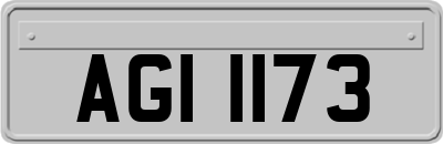AGI1173