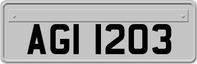 AGI1203