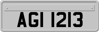 AGI1213