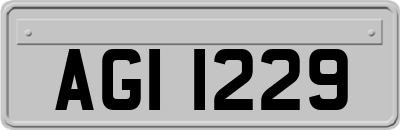 AGI1229